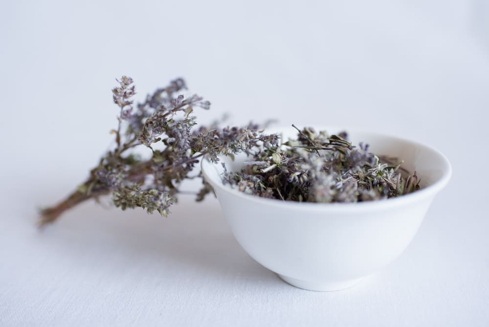 Wild Thyme